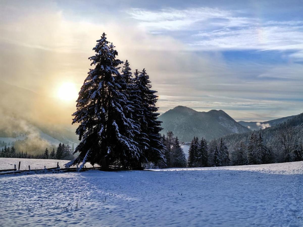 Der Torwirt Radstadt Extérieur photo